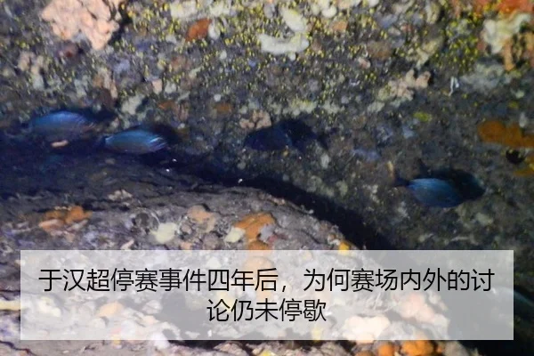 于汉超停赛事件四年后，为何赛场内外的讨论仍未停歇